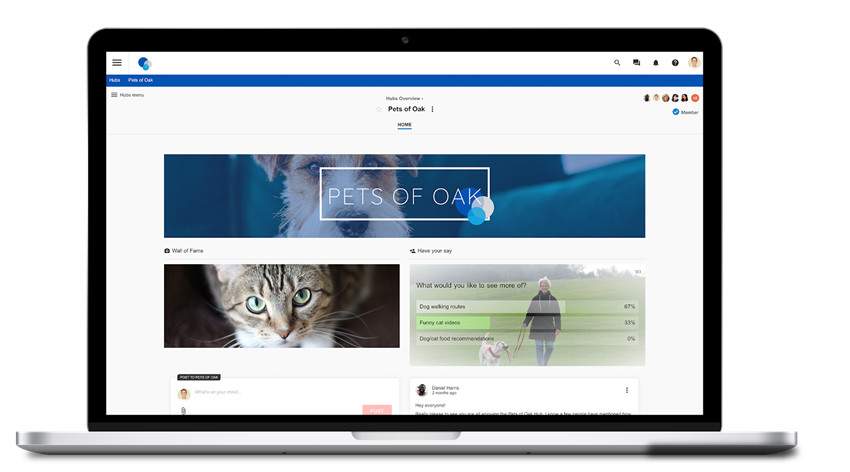 Pet themed hub as part of community hubs section of intranet
